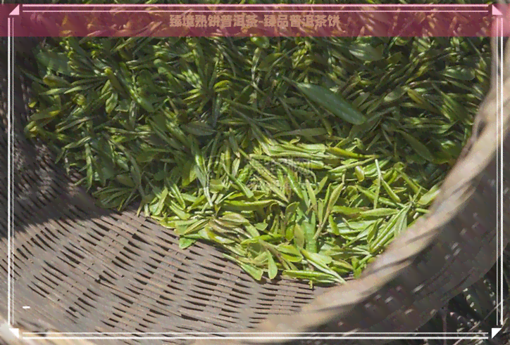 臻境熟饼普洱茶-臻品普洱茶饼