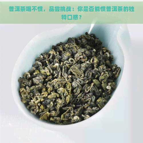 普洱茶喝不惯，品尝挑战：你是否能惯普洱茶的独特口感？