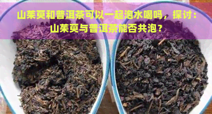 山茱萸和普洱茶可以一起泡水喝吗，探讨：山茱萸与普洱茶能否共泡？