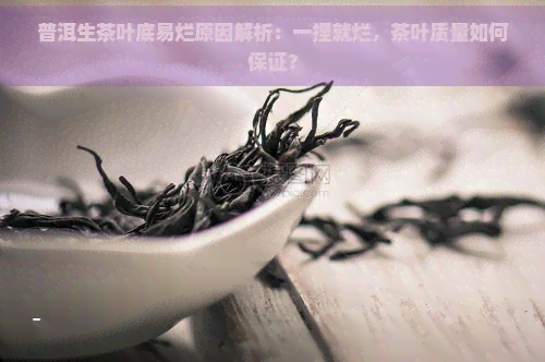 普洱生茶叶底易烂原因解析：一捏就烂，茶叶质量如何保证？