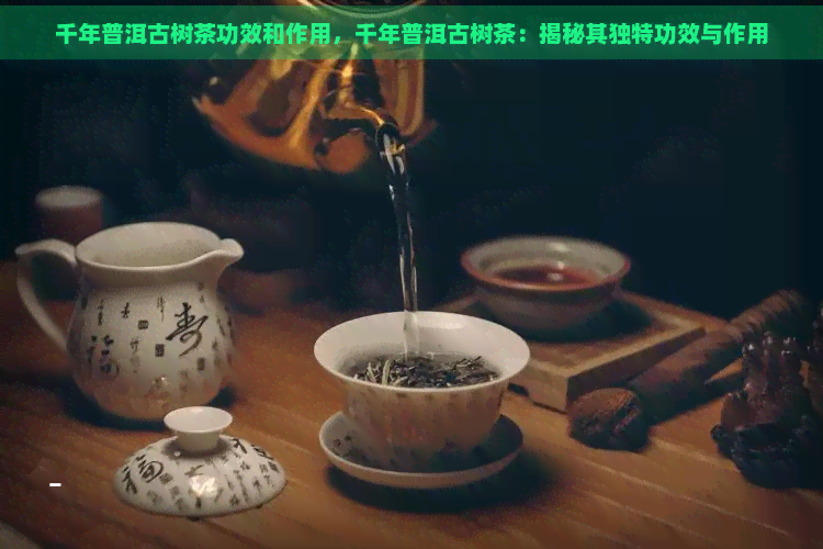 千年普洱古树茶功效和作用，千年普洱古树茶：揭秘其独特功效与作用