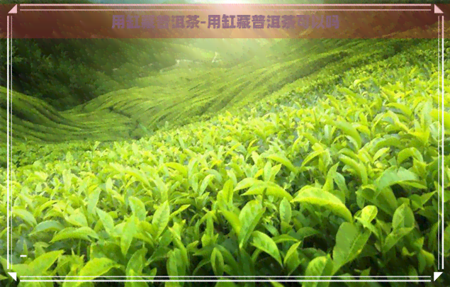 用缸藏普洱茶-用缸藏普洱茶可以吗