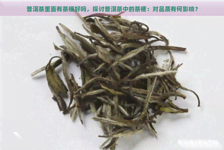 普洱茶里面有茶梗好吗，探讨普洱茶中的茶梗：对品质有何影响？