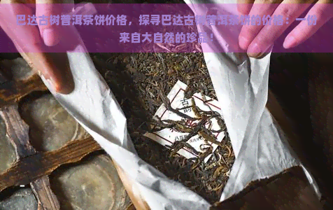 巴达古树普洱茶饼价格，探寻巴达古树普洱茶饼的价格：一份来自大自然的珍品！