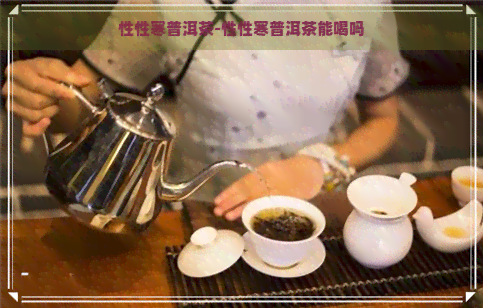 性性寒普洱茶-性性寒普洱茶能喝吗