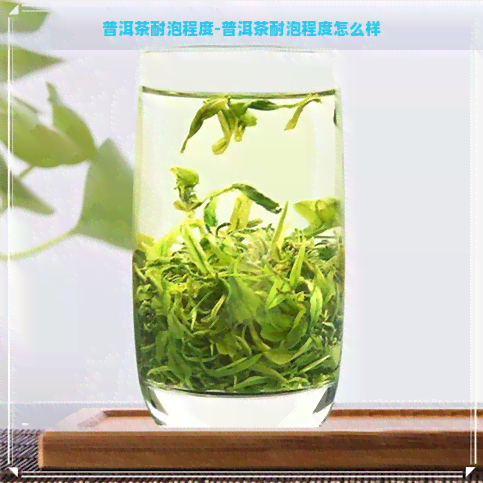 普洱茶耐泡程度-普洱茶耐泡程度怎么样