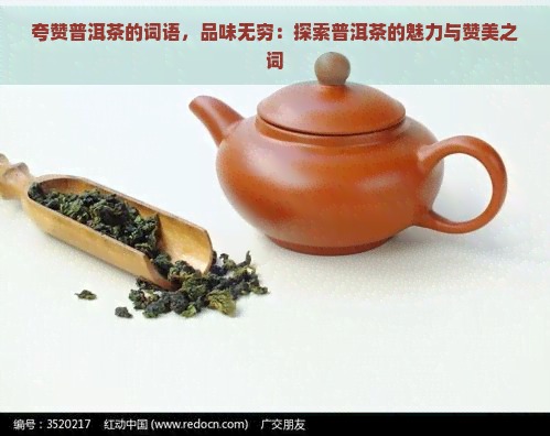 夸赞普洱茶的词语，品味无穷：探索普洱茶的魅力与赞美之词