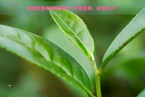 普洱茶瘦身贴有用吗？女性适用，价格多少？