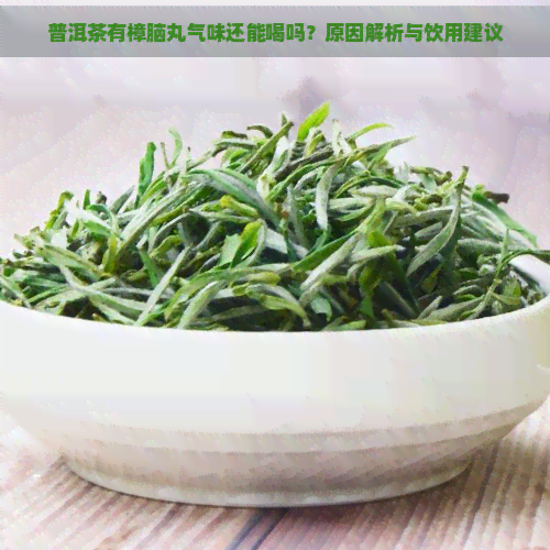 普洱茶有樟脑丸气味还能喝吗？原因解析与饮用建议