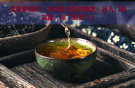 普洱茶档次，揭秘普洱茶的档次：从入门到高端，你了解多少？