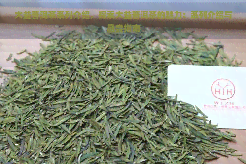 大益普洱茶系列介绍，探索大益普洱茶的魅力：系列介绍与品尝指南