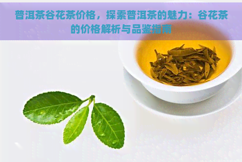 普洱茶谷花茶价格，探索普洱茶的魅力：谷花茶的价格解析与品鉴指南