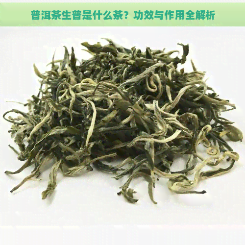 普洱茶生普是什么茶？功效与作用全解析