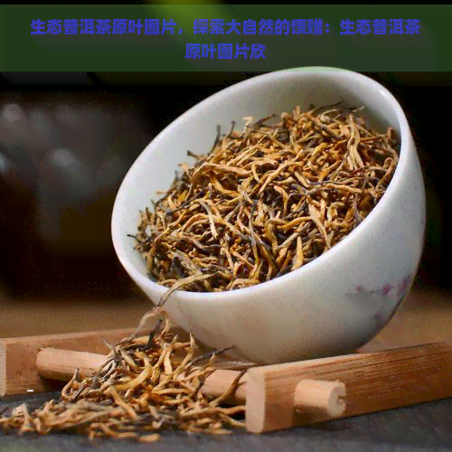 生态普洱茶原叶图片，探索大自然的馈赠：生态普洱茶原叶图片欣