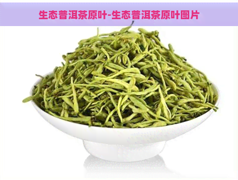 生态普洱茶原叶-生态普洱茶原叶图片