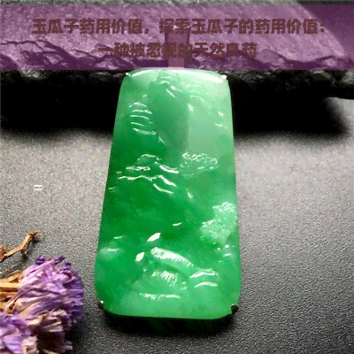 玉瓜子药用价值，探索玉瓜子的药用价值：一种被忽视的天然良药