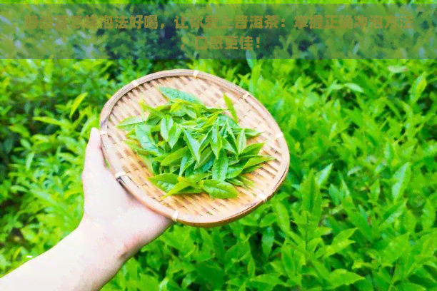 普洱茶怎样泡法好喝，让你爱上普洱茶：掌握正确冲泡方法，口感更佳！