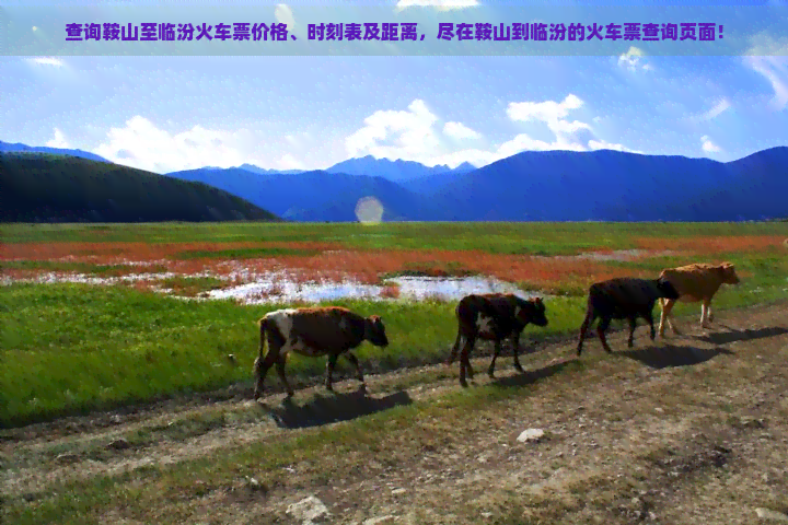 查询鞍山至临汾火车票价格、时刻表及距离，尽在鞍山到临汾的火车票查询页面！