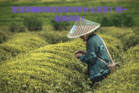 普洱茶和核桃吃起来会有什么反应？能一起食用吗？