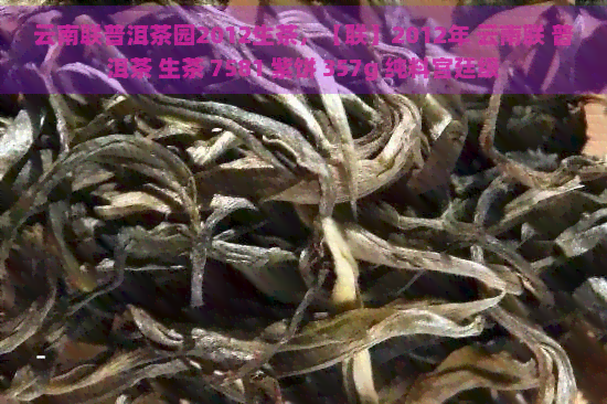 云南联普洱茶园2012生茶，【联】2012年 云南联 普洱茶 生茶 7581 紫饼 357g 纯料宫廷级