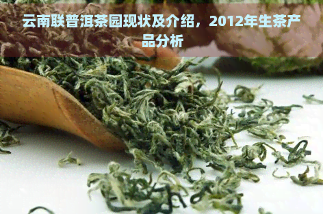 云南联普洱茶园现状及介绍，2012年生茶产品分析