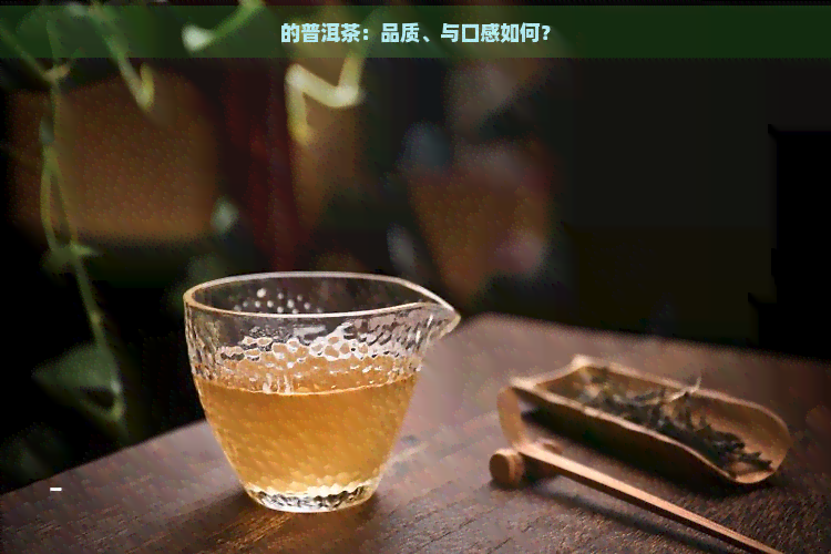 的普洱茶：品质、与口感如何？