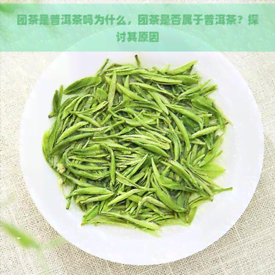 团茶是普洱茶吗为什么，团茶是否属于普洱茶？探讨其原因