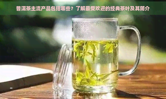 普洱茶主流产品包括哪些？了解更受欢迎的经典茶叶及其简介