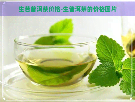 生若普洱茶价格-生普洱茶的价格图片