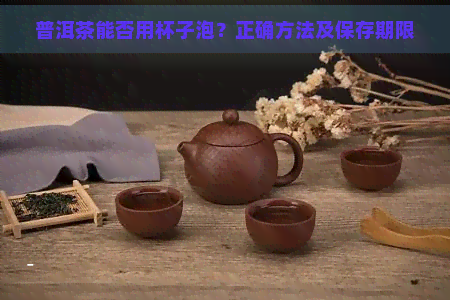 普洱茶能否用杯子泡？正确方法及保存期限