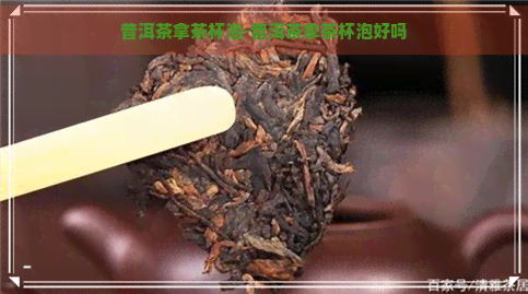 普洱茶拿茶杯泡-普洱茶拿茶杯泡好吗