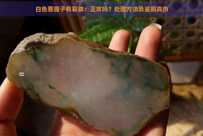 白色菩提子有裂纹：正常吗？处理方法及鉴别真伪