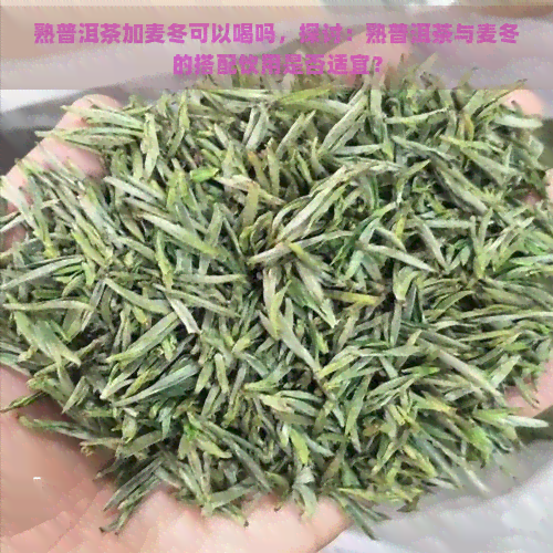 熟普洱茶加麦冬可以喝吗，探讨：熟普洱茶与麦冬的搭配饮用是否适宜？