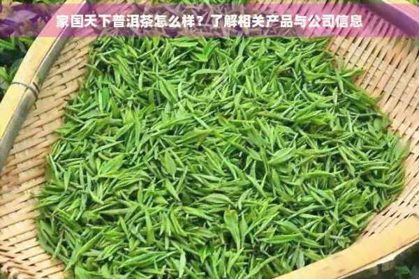 家国天下普洱茶怎么样？了解相关产品与公司信息