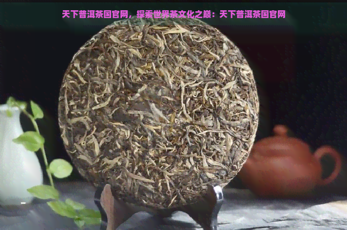 天下普洱茶国官网，探索世界茶文化之巅：天下普洱茶国官网