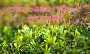 普洱茶七彩凤凰：种类、特点与产地解析