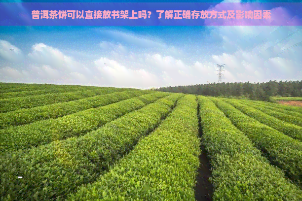 普洱茶饼可以直接放书架上吗？了解正确存放方式及影响因素