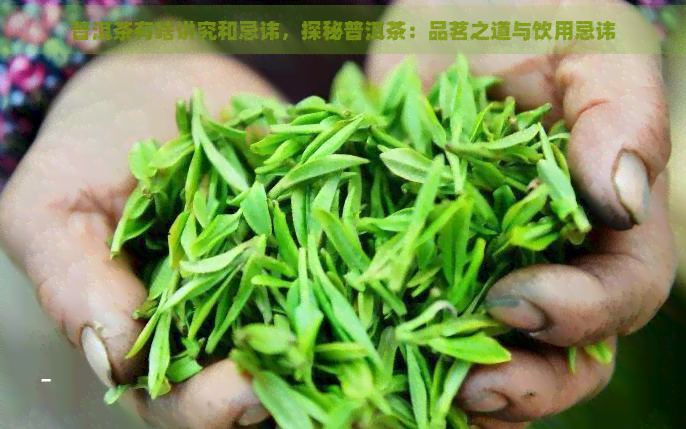 普洱茶有啥讲究和忌讳，探秘普洱茶：品茗之道与饮用忌讳