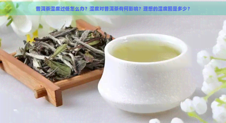 普洱茶湿度过低怎么办？湿度对普洱茶有何影响？理想的湿度围是多少？