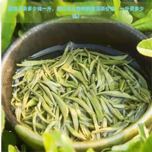 源普洱茶多少钱一斤，探究源头直供的普洱茶价格，一斤要多少钱？