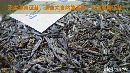 天生源普洱茶，源自大自然的美味：天生源普洱茶