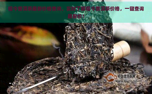 福今普洱茶最新价格查询，实时了解福今普洱茶价格，一键查询最新价！