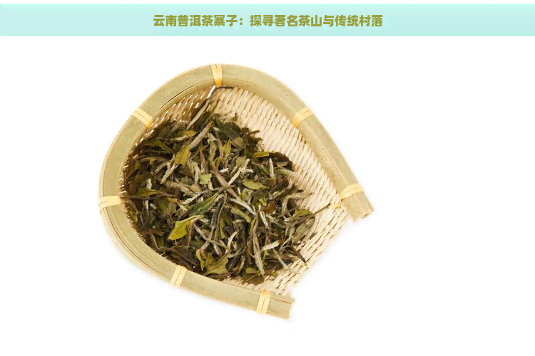 云南普洱茶寨子：探寻著名茶山与传统村落