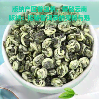 版纳产区普洱茶，探秘云南版纳：揭秘普洱茶的奥秘与魅力