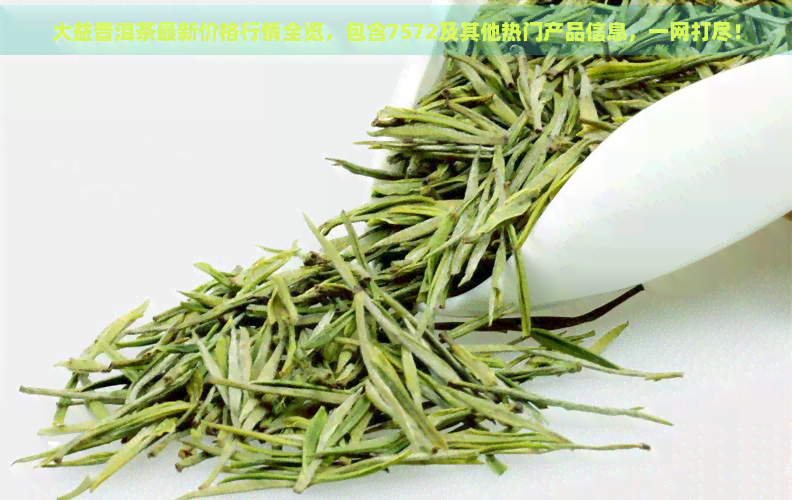 大益普洱茶最新价格行情全览，包含7572及其他热门产品信息，一网打尽！