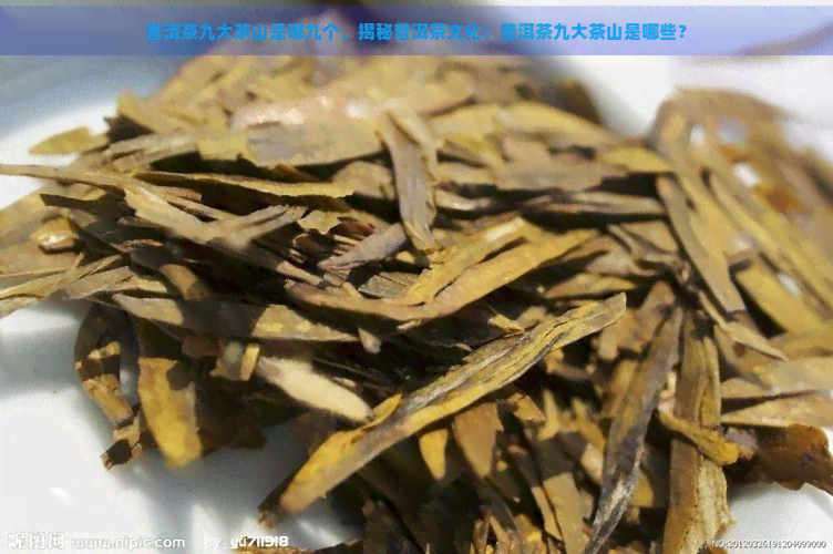 普洱茶九大茶山是哪九个，揭秘普洱茶文化：普洱茶九大茶山是哪些？