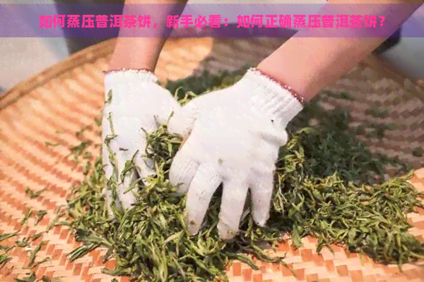 如何蒸压普洱茶饼，新手必看：如何正确蒸压普洱茶饼？