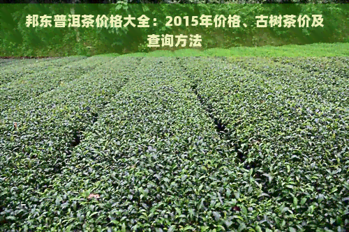 邦东普洱茶价格大全：2015年价格、古树茶价及查询方法