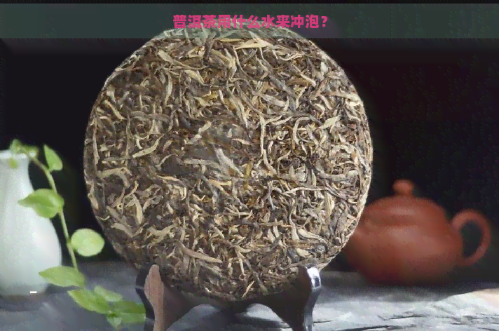 普洱茶用什么水来冲泡？