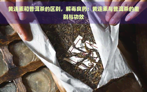 黄连素和普洱茶的区别，解良药：黄连素与普洱茶的差别与功效